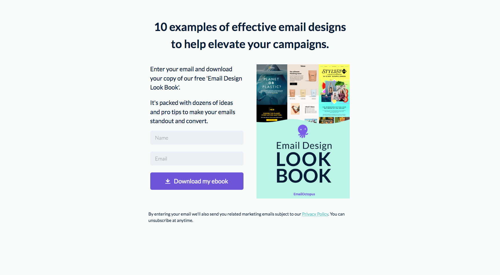 EmailOctopus Lead Magnet Landing Page